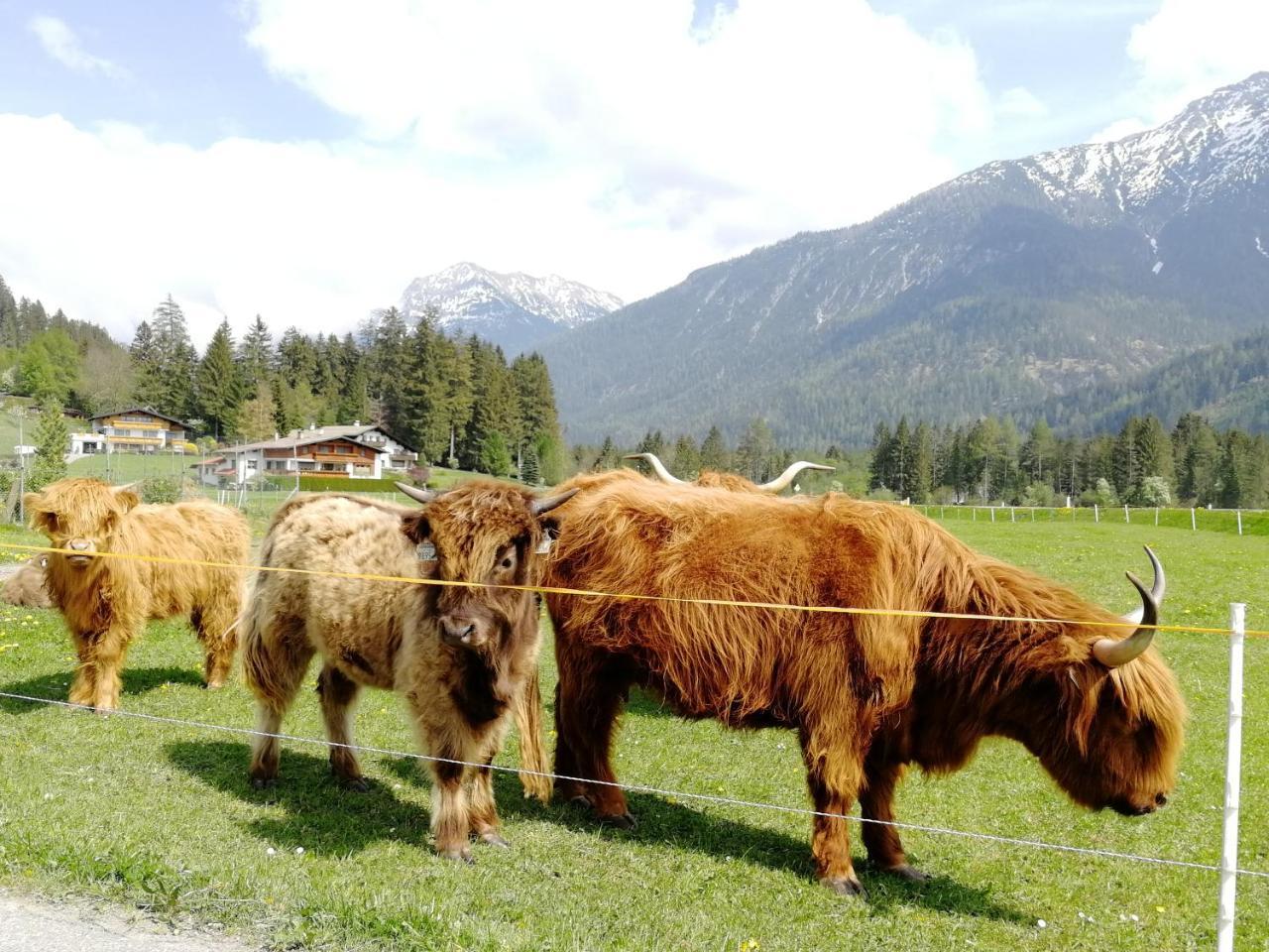 Camping Lechtal Vorderhornbach Buitenkant foto
